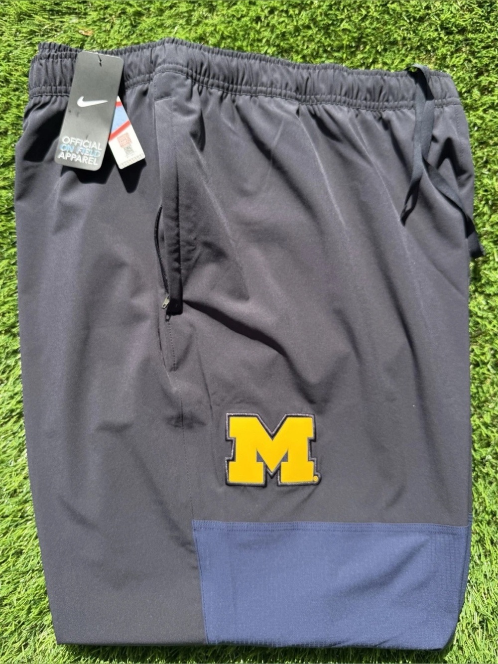 Jordan Brand Nike Michigan Wolverines PE Sideline Pants 2025 IH9496-419 Mens L